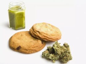 Understanding Edibles for Medical Purposes